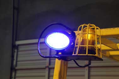 Oval LED Pedestrian Spotlight